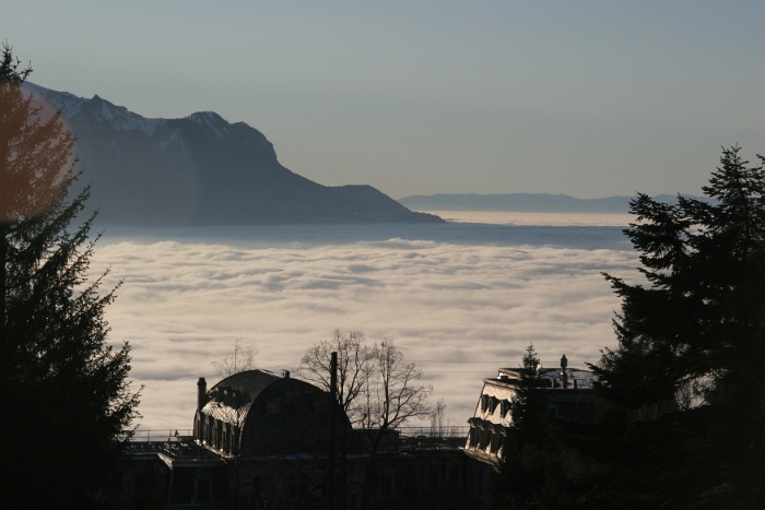 Mer brouillard Caux - 081